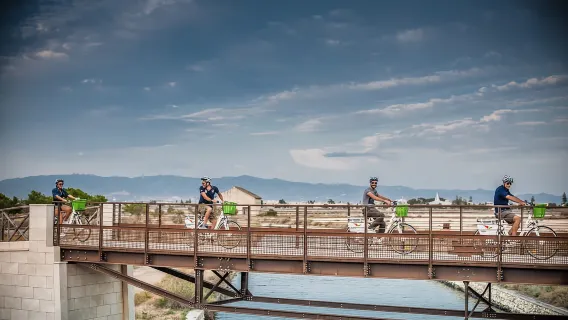 Cagliari: Passeio de E-Bike pelos Canais e Flamingos em Molentargius