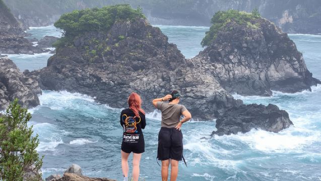Jeju: Excursión de un día al Geoparque UNESCO del Sur