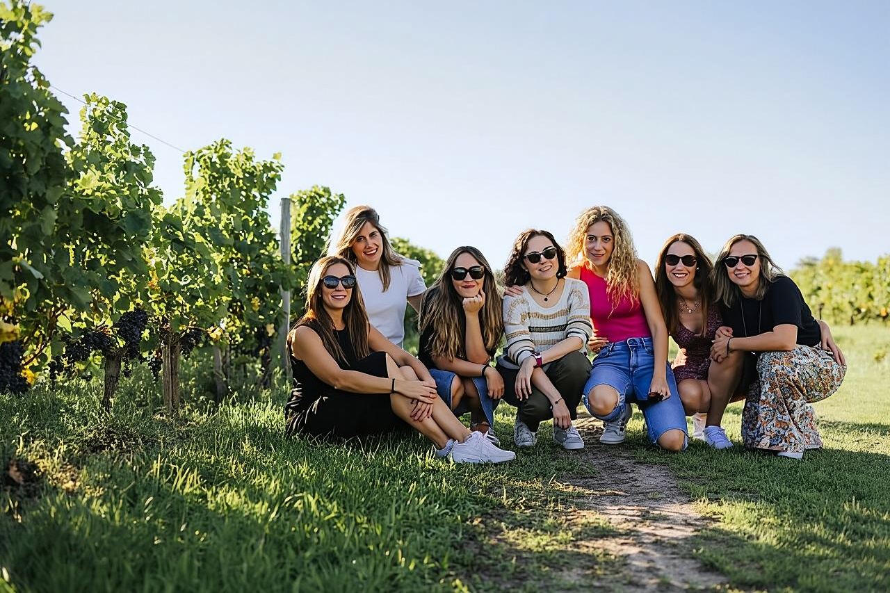 Saint-Emilion Wine Region Morning Tour with Tastings & Local Guide