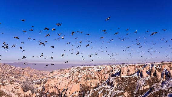 Green (South) Tour Cappadocia (small group) with lunch and ticket