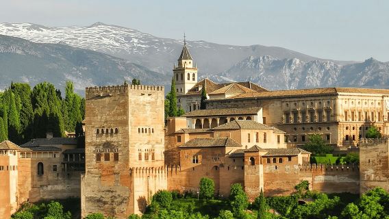 Il tour privato dell'Alhambra di Granada include i Palazzi Nazaries
