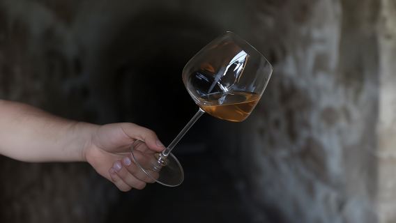 1-hour guided tour of the Orsini Fortress winery with final tasting