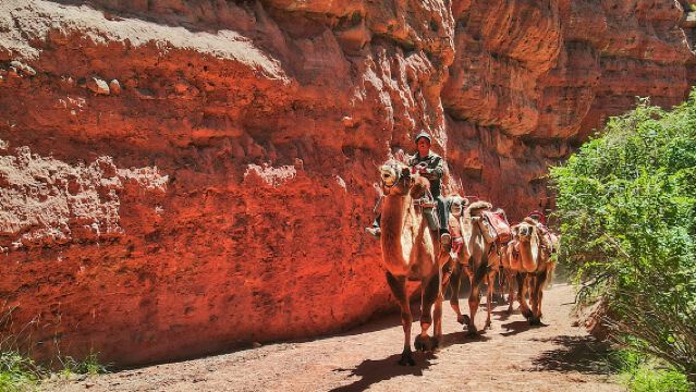 張掖平山湖大峽谷+七彩丹霞旅遊景區一日遊【純玩無購物】
