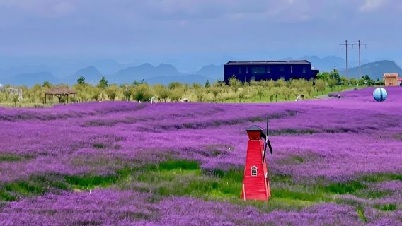 貴州貴陽-天河譚-花溪高坡雲頂花海-青岩古鎮-花溪夜郎谷#