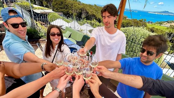 Waiheke Island Scenic Wine Tour with Gourmet Beachfront Lunch