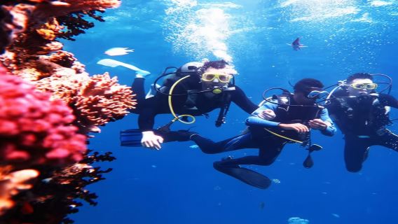 インドネシア・ビンタン島で3時間体験ダイビング&シュノーケリング【シンガポール・ビンタン島半日ツアー・シュノーケリング・送迎付き・中国語サービス】
