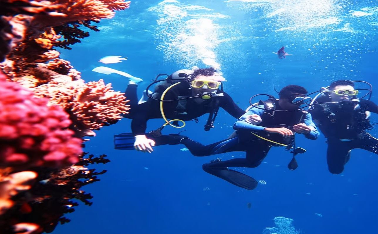 インドネシア・ビンタン島でダイビング&シュノーケリング3時間体験【シンガポール発ビンタン半日ツアー シュノーケリングクルーズ 送迎付き・日本語サービスあり】