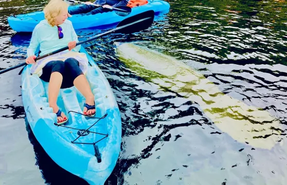 海豚、海牛和海龜皮划艇探險之旅