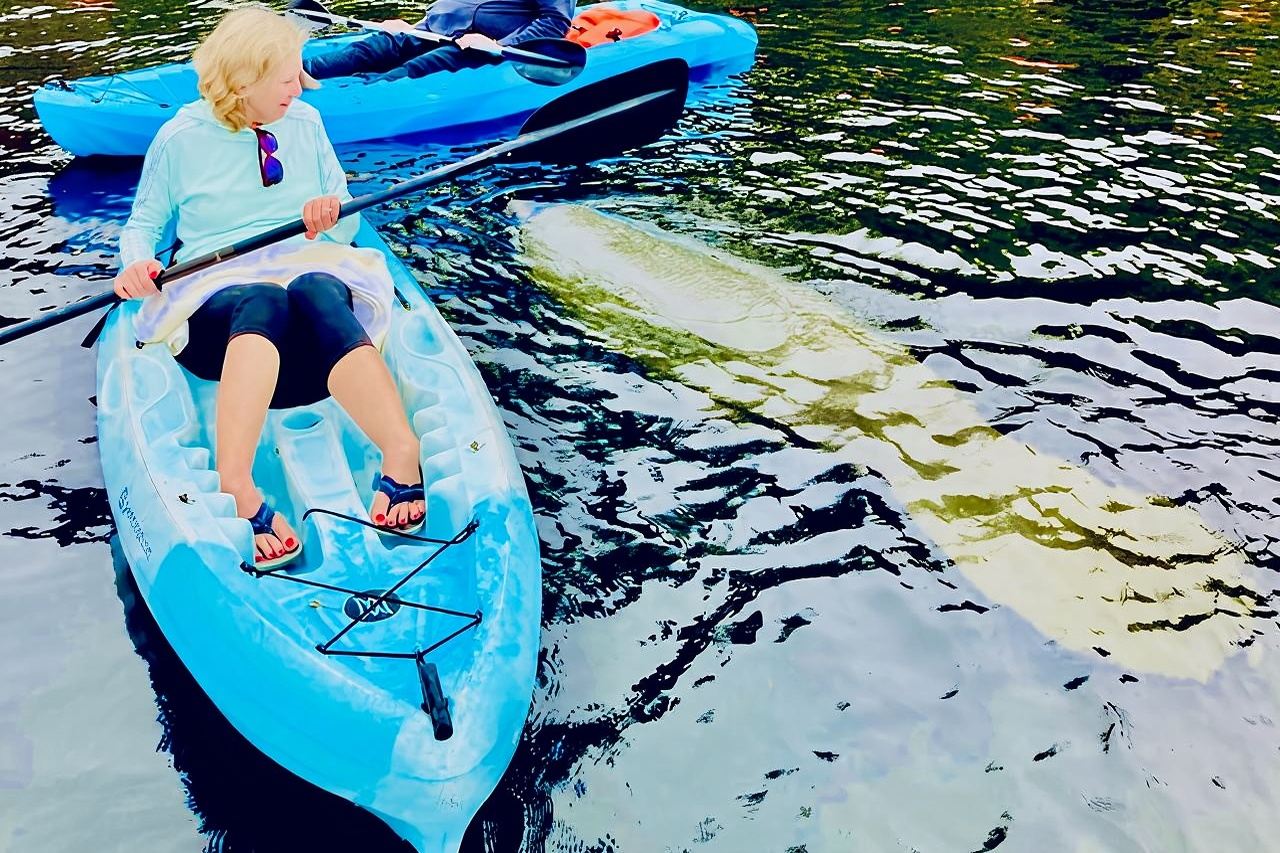 การผจญภัยพายเรือคายัคชมโลมา พะยูน และเต่าทะเล