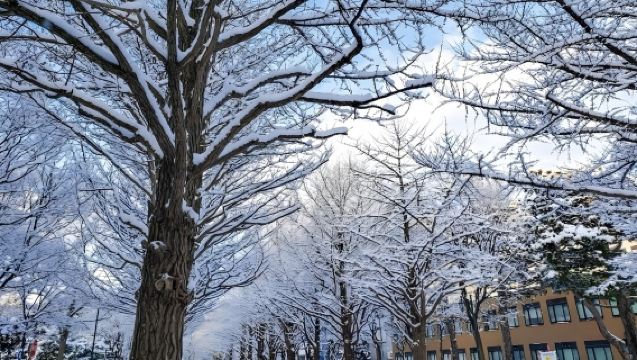 日本小樽運河-小樽天狗山纜車-船見阪【北海道中文專車】