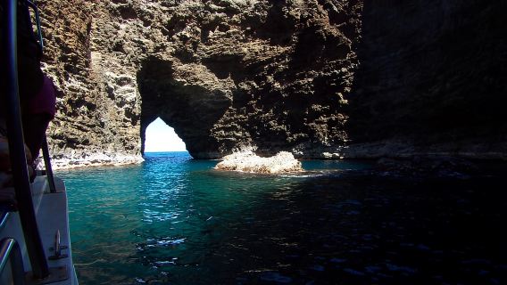 Kauai: tour di snorkeling sulla costa di Na Pali con pranzo