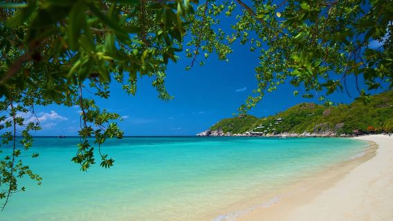 Koh PhanganTours
