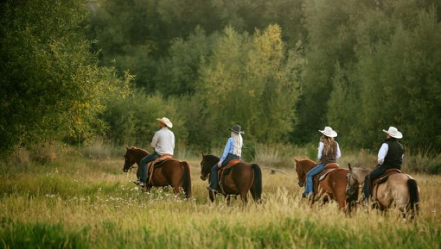 Midway, Utah: Reittour mit Guide