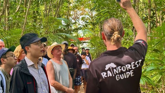 Cairns: Daintree Rainforest and Mossman Gorge Tour