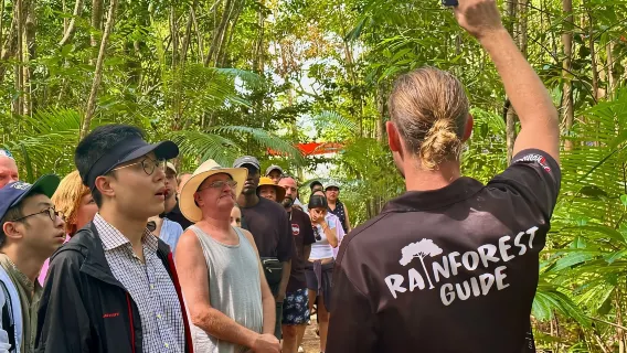 Cairns: Daintree Rainforest and Mossman Gorge Tour