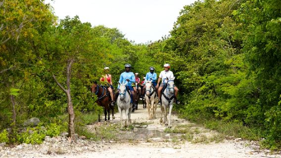 Swim Horse จาก Punta Cana