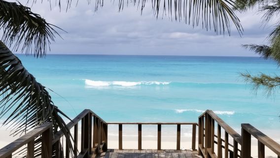 จากฟอร์ตลอเดอร์เดล: ทริปเที่ยวเกาะบิมินีแบบไปเช้าเย็นกลับโดยเรือเฟอร์รี่