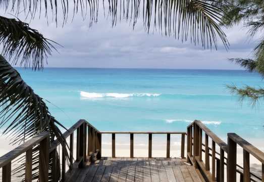 From Fort Lauderdale: Bimini Island Day Trip by Ferry