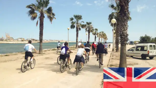 Valencia: Road to La Albufera Guided Private Bike Tour