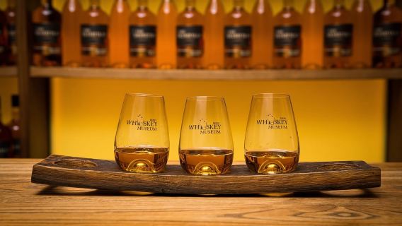 Dublin: Irish Whiskey Museum Tour and Whiskey Tasting