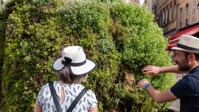 Aix en Provence Food & City Half Day tour