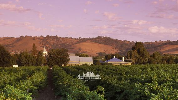 Madrid: Luxus-Tour durch das Weingut Emilio Moro