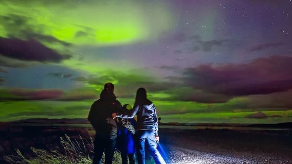 Excursion en bus pour observer les aurores boréales en Islande (transfert optionnel en minibus/bus + photos des aurores boréales)