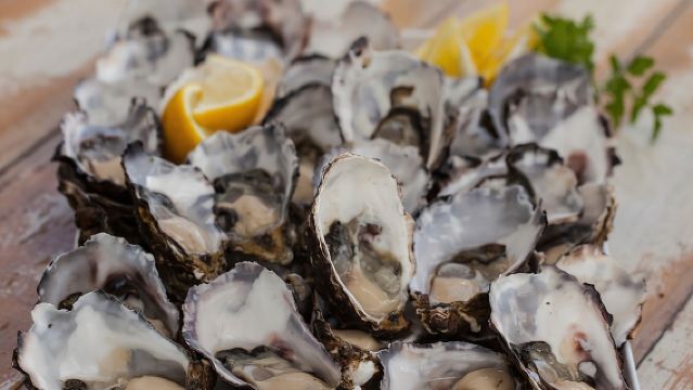 Bruny Island Traveller - Excursión de día con degustación gourmet y visitas turísticas desde Hobart