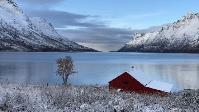 包車厄斯福德：徒步峽灣+夜追北極光+打卡咖啡館+邂逅野生動物