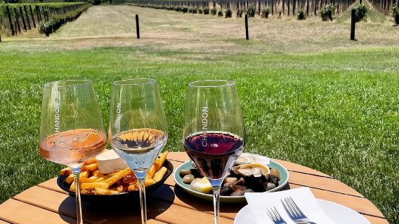 代預約酒莊│墨爾本亞拉河谷酒莊+朱古力工廠+邂逅可愛動物