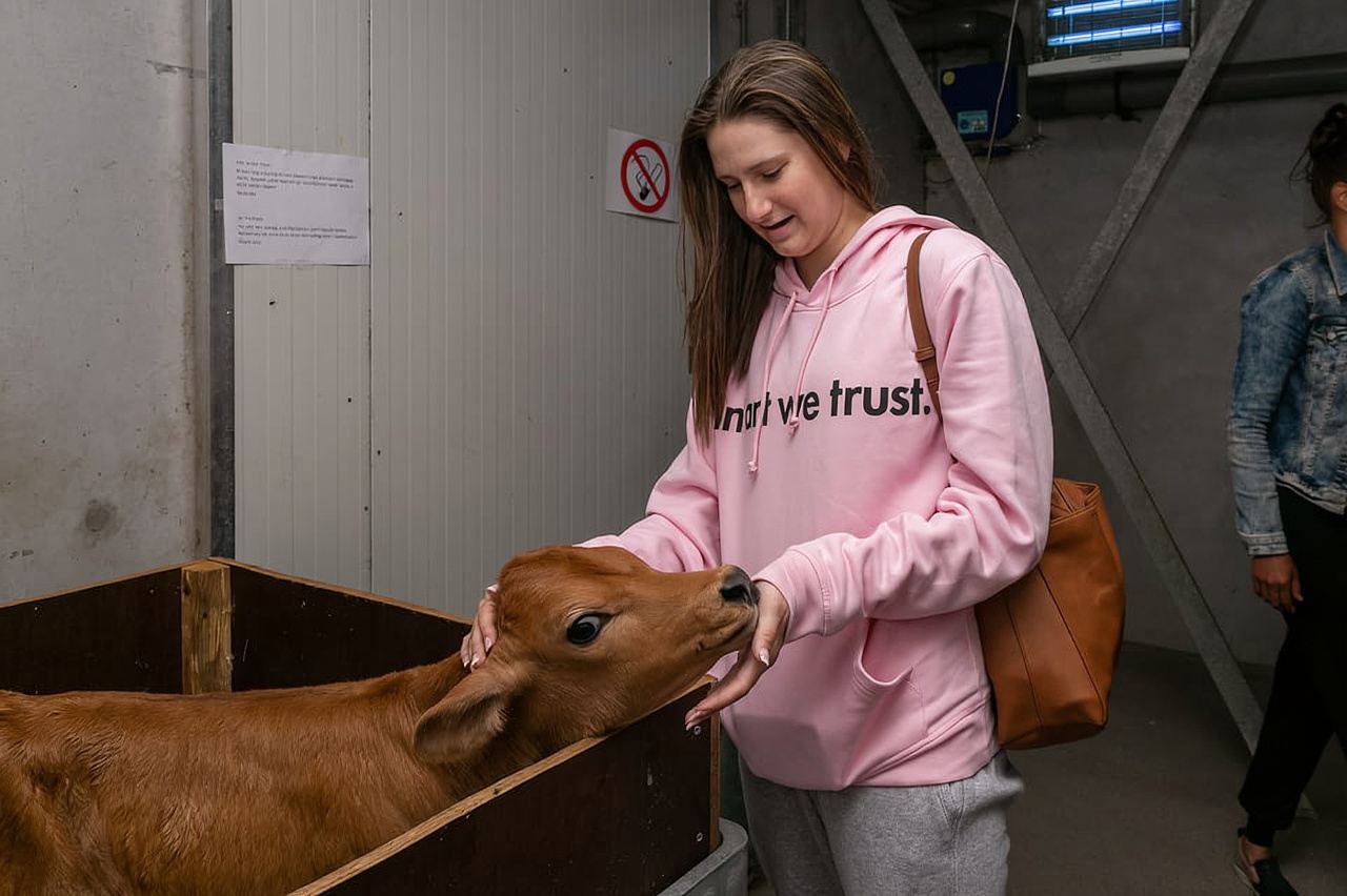 Amsterdam: tour in bici elettrica tra mulini a vento, formaggi e campagna