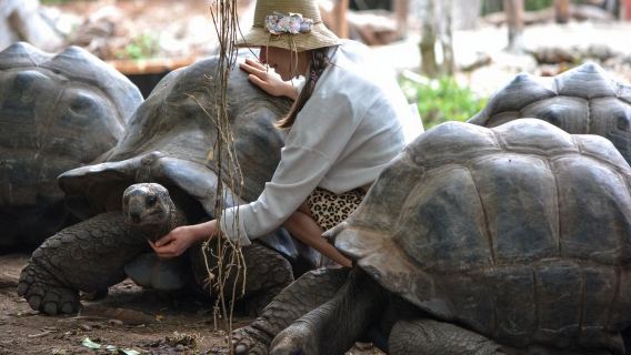 Prison Island and Jozani Forest Guided Tour