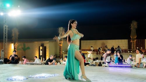 Desert safari With BBQ Dinner Day Tours 1