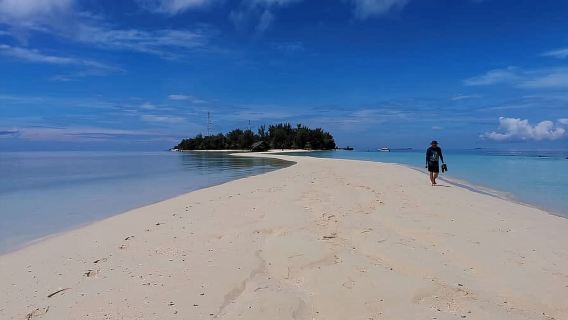 SEMPORNA  Mataking + Timba-Timba + Pom-Pom