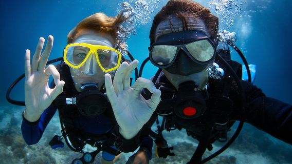 Discover Scuba Diving in Dubai