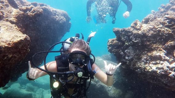 Beginner Scuba Diving Adventure with Videos in Honolulu