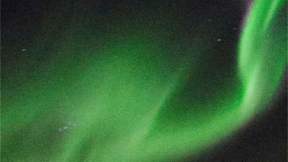 ReykjavikTours