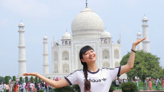 Tour di un giorno intero al Taj Mahal, al Forte di Agra e al Baby Taj da Delhi in auto