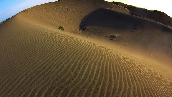 YogyakartaTours