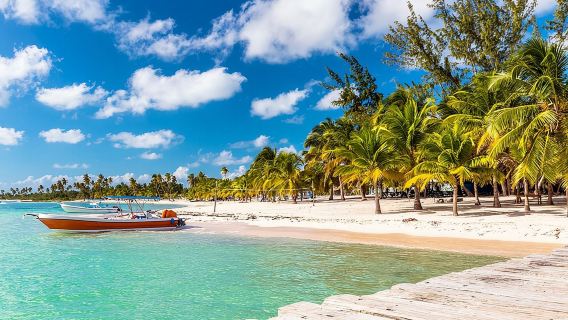 Full-Day Cruise to Saona Island - Natural pool and lunch