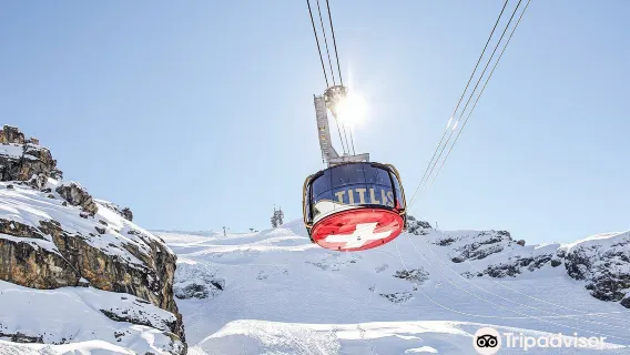 Lucerne centro storico + Engelberg in Svizzera [noleggio con conducente esclusivo|Modifica itinerario|Autista e guida in cinese