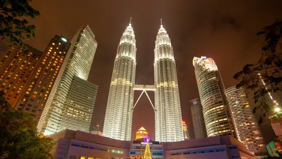 Kuala Lumpur City Light & Batu Caves Night Tour - Share or Private Tour Option