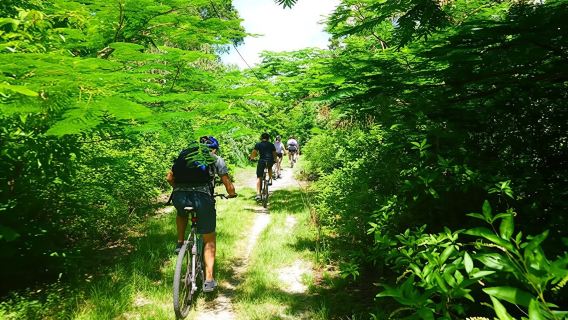 Bras d'Eau and Roches Noires mountain bike tour in Mauritius