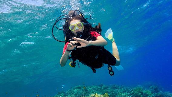 Scuba Diving Full Day Boat Trip for beginners With Lunch & Transfer – Hurghada