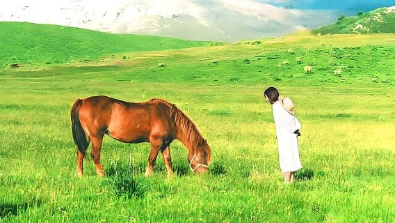 Kyushu, Japon : excursion d'une journée au mont Aso, à Kusasenri, à Kurokawa Onsen et au sanctuaire Aso