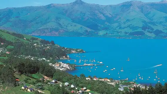 Akaroa Full Day Sightseeing Tour from Christchurch