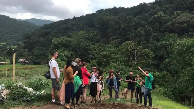 Doi Inthanon Day Trip:Twin Pagodas,Soft Hiking,Coffee Plantation 