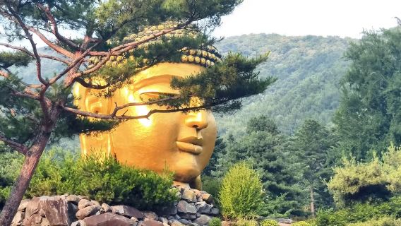 愛寶樂園·臥龍精舍·民俗村包車一日暢遊