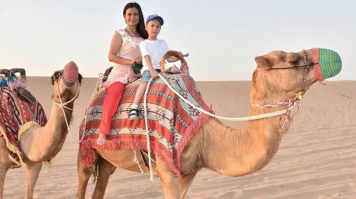 Abu Dhabi: 4-Hour Morning Safari with Camel Ride & Sand boarding Day Tours 4