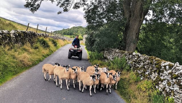 De Yorkshire Dales van All Creatures Great & Small